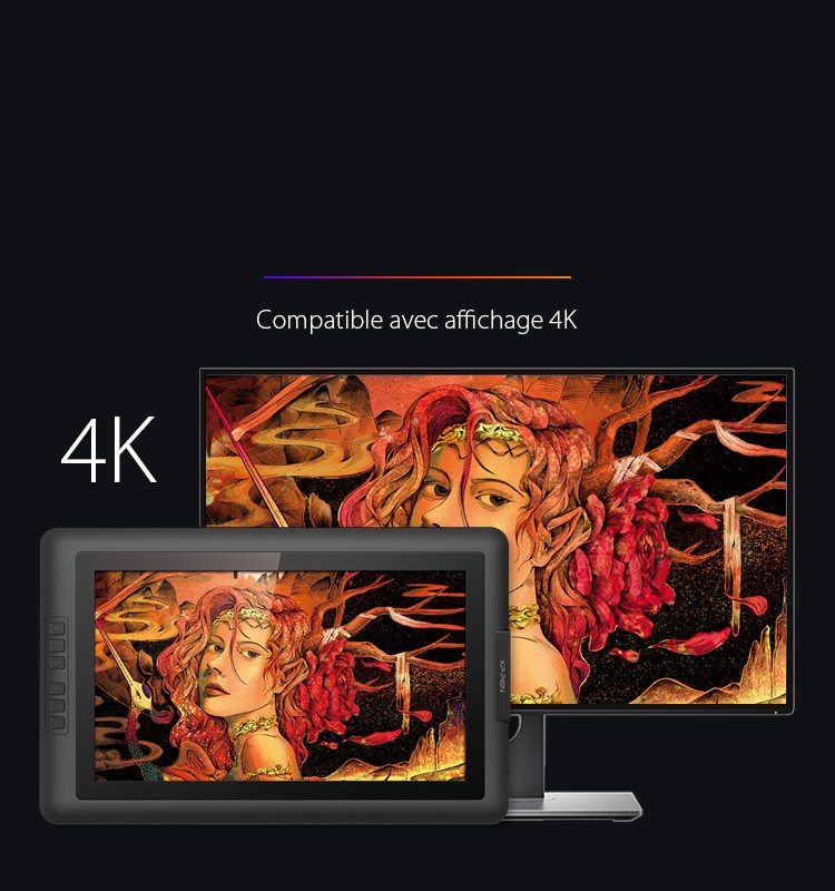 XP-Pen Artist 15.6 tablette écran Supporter l'affichage de 4k Saisissez